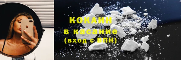 индика Алексин