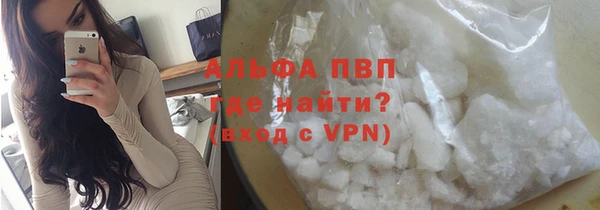 индика Алексин