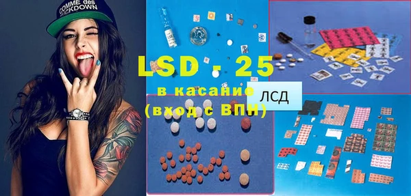 индика Алексин