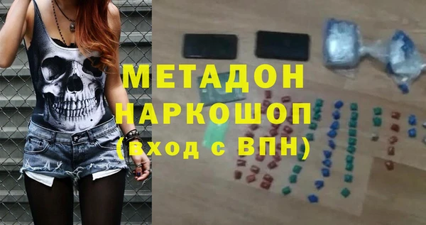 индика Алексин