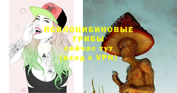 индика Алексин
