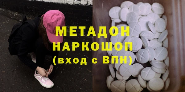 индика Алексин