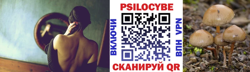 Псилоцибиновые грибы MAGIC MUSHROOMS где купить наркоту OMG ONION Алзамай